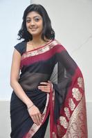 Pranitha Gallery